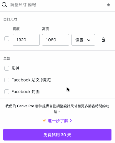3-2 調整尺寸（專業版）